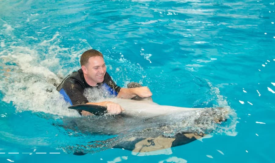 Swimming With Dolphins – Dubai Dolphinarium - Image 7