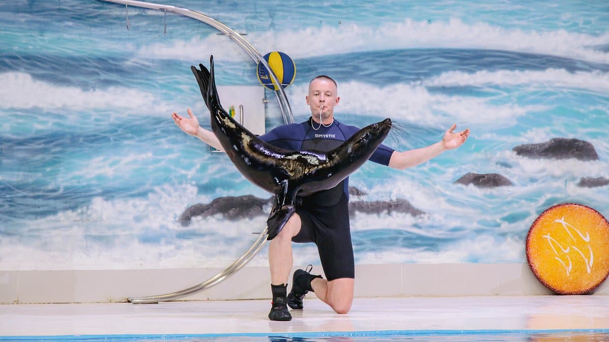 Dolphin & Seal Show – Dubai Dolphinarium + The Green Planet Dubai – Combo - Image 15